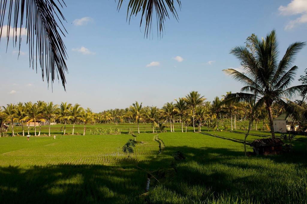 Puri Bebengan Bungalows Ubud Dış mekan fotoğraf